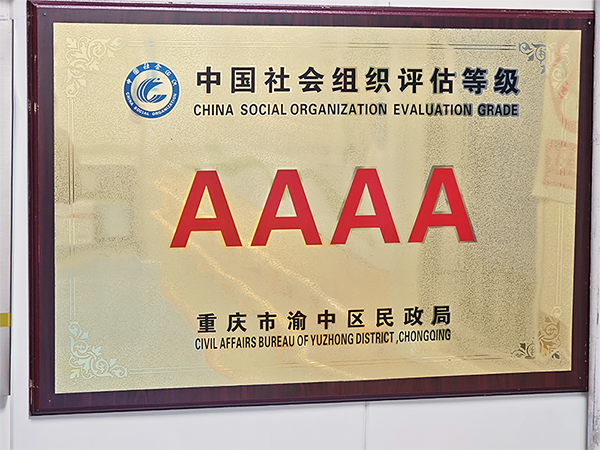 4A级社会组织