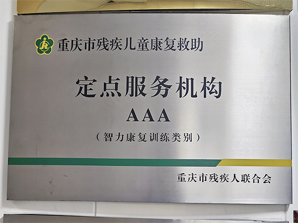 智力康复训练类别3A级定点机构